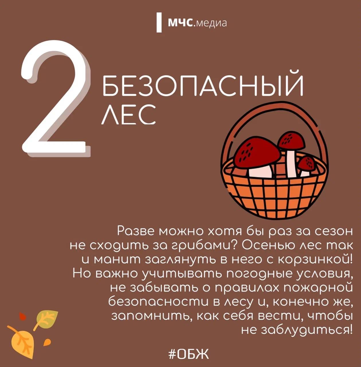 2-2.jpg